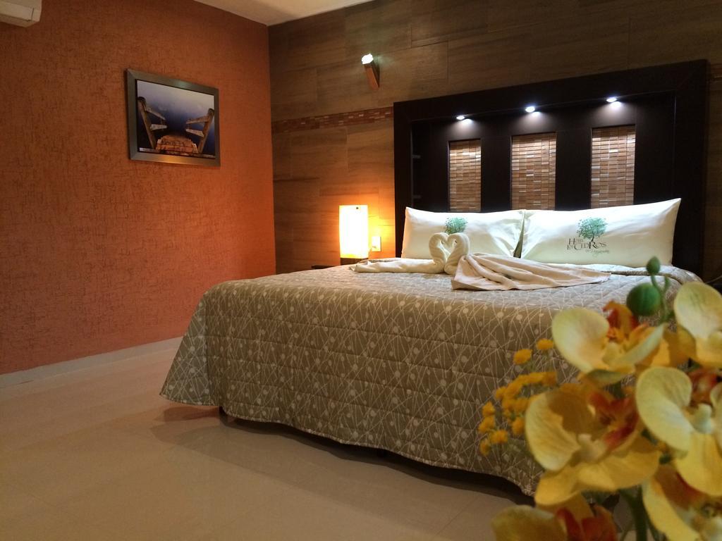 Los Cedros Uayamón Kamer foto