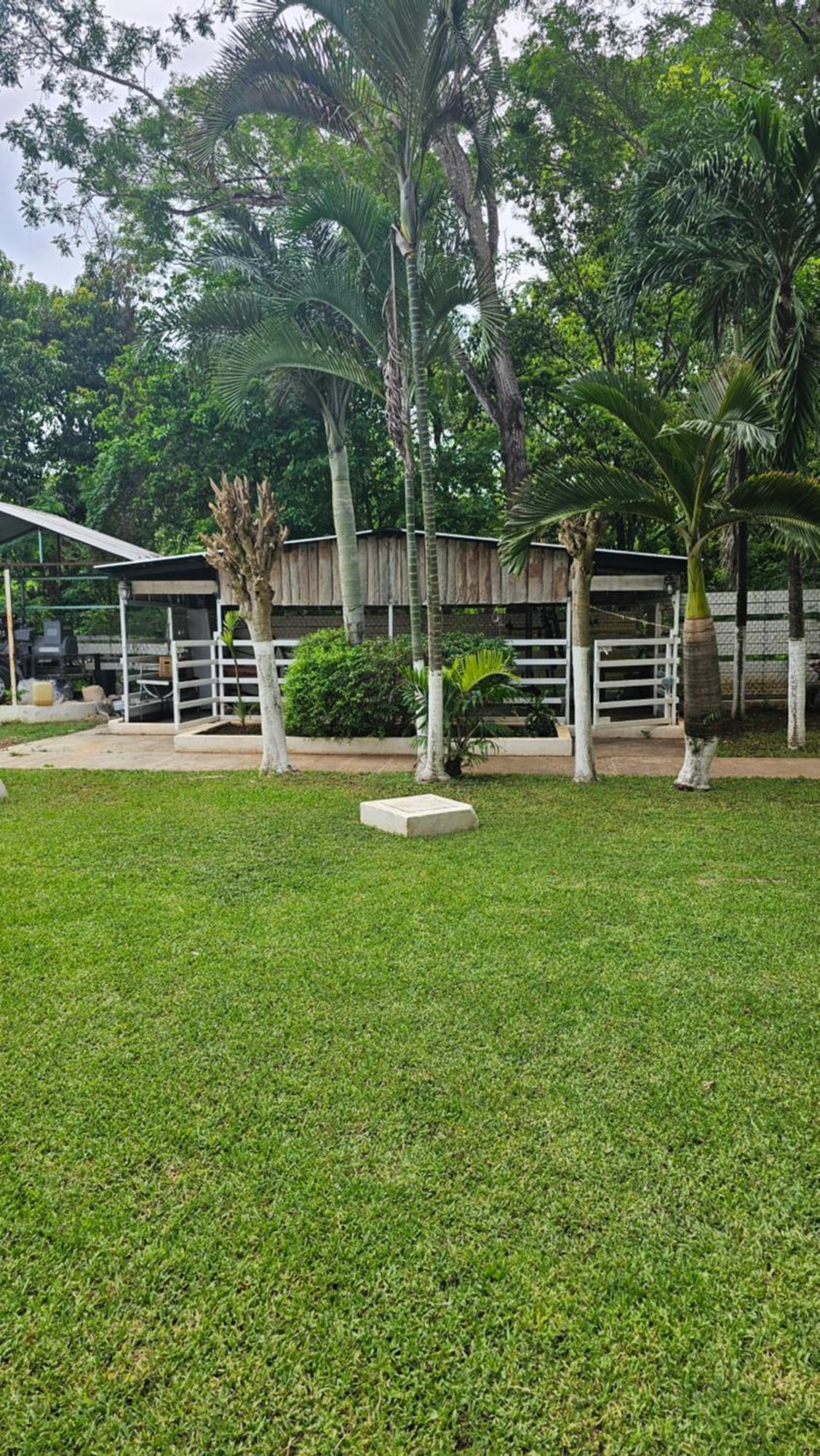 Los Cedros Uayamón Buitenkant foto